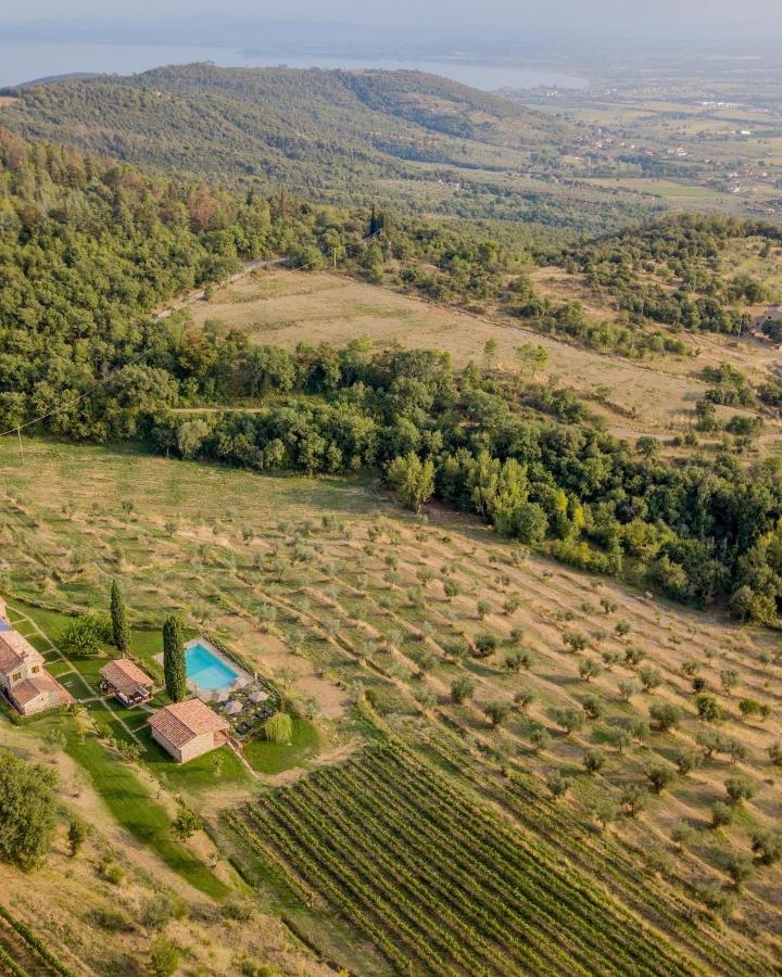 Вілла Tenuta Angelici Winery Agriturismo Henni With Pool Sauna And Jacuzzi Кортона Екстер'єр фото